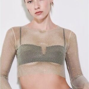 NWT Zara Mesh Long Sleeve Crop Top
